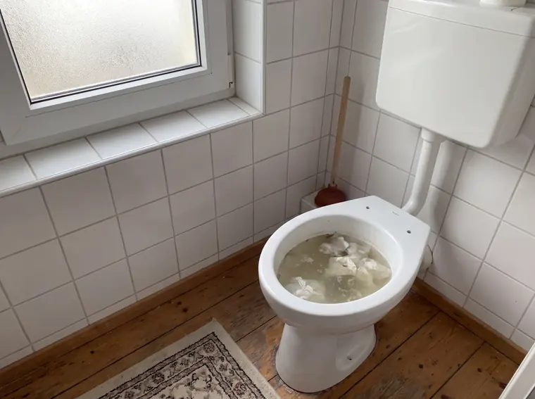 Verstopfte Toilette und Spüle — Spiralen-Notdienst